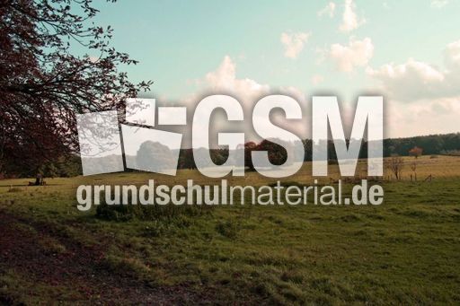 B-Herbststimmung 018.jpg